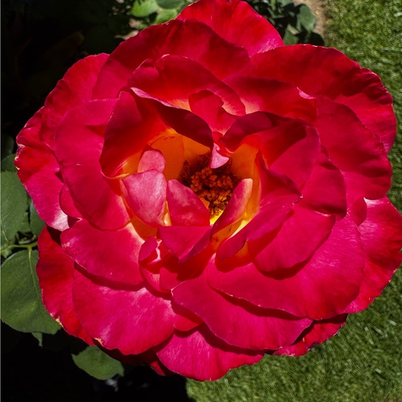 bsbb17